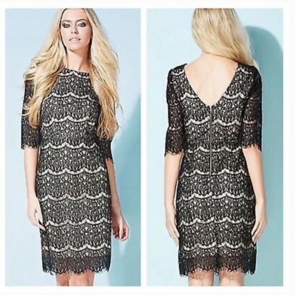 Darling London lace midi dress - Picture 1 of 4